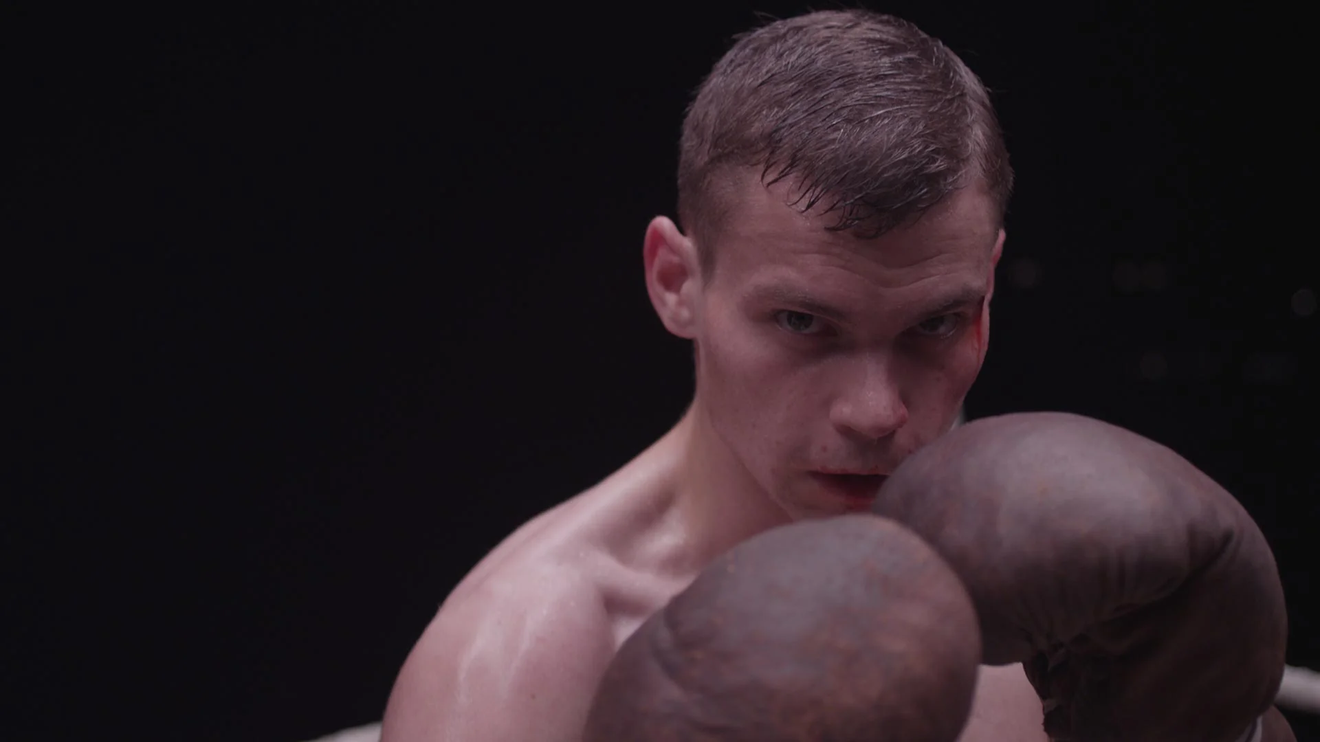 The Boxer - Image 2