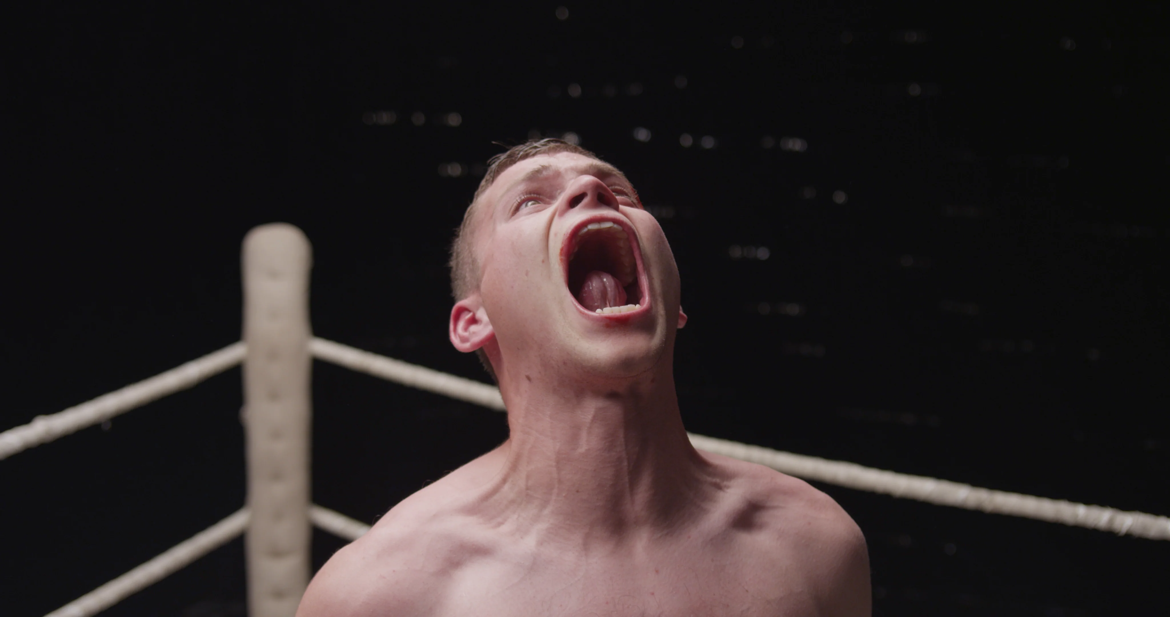 The Boxer - Image 5