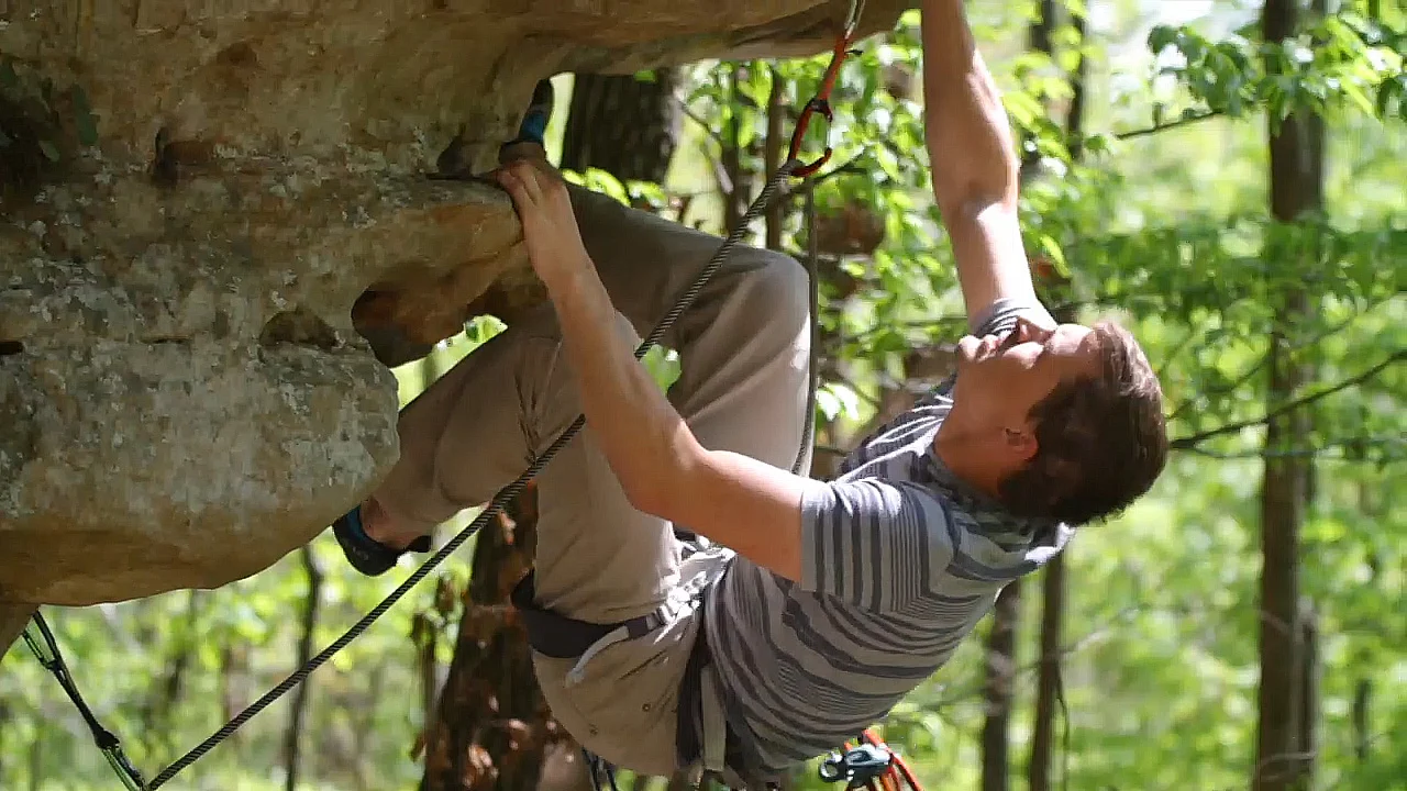 The Rock Climber - Image 4
