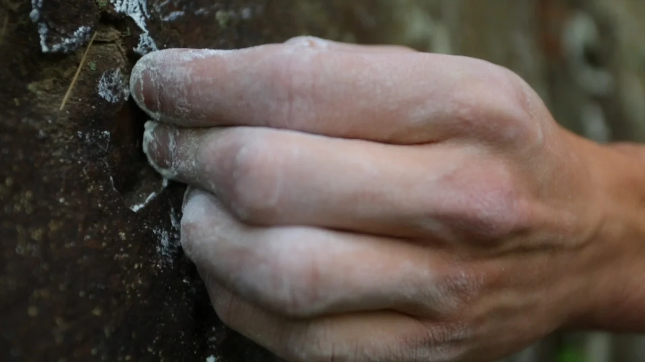 The Rock Climber - Image 6